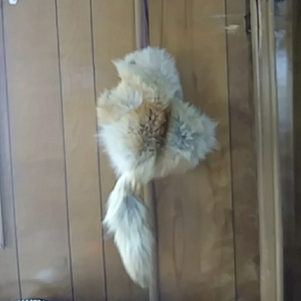 Faux fur hat